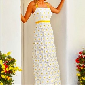 Feminine full length daisy dress from Boston Proper!